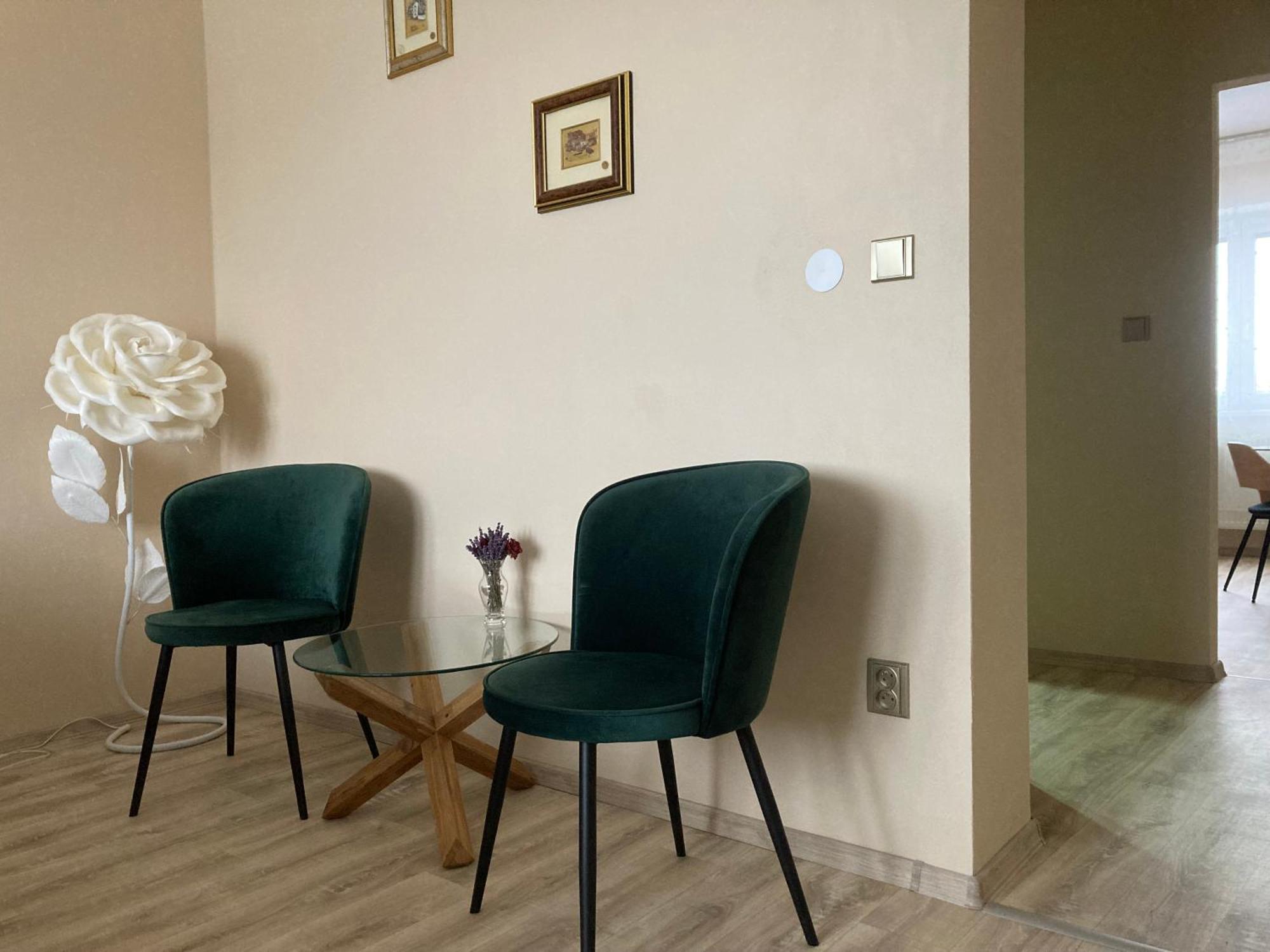 Drzovice Apartment In The Garden מראה חיצוני תמונה